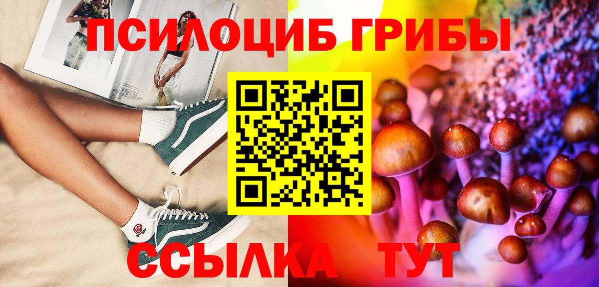 Ессентуки  Галлюциногенные грибы Psilocybe  Вход с VPN 